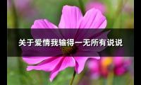 关于爱情我输得一无所有说说(汇总58句)【图】