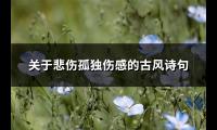 关于悲伤孤独伤感的古风诗句(汇总66句)【图】