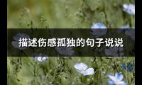 描述伤感孤独的句子说说(实用39句)【图】