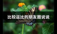 比较逗比的朋友圈说说(通用72句)【图】