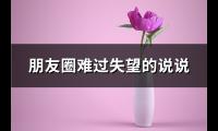 朋友圈难过失望的说说(实用58句)【图】