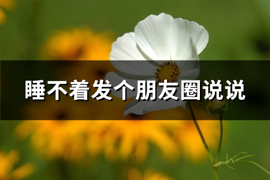 睡不着发个朋友圈说说(共74句)