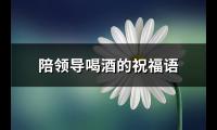 陪领导喝酒的祝福语(推荐27句)【图】