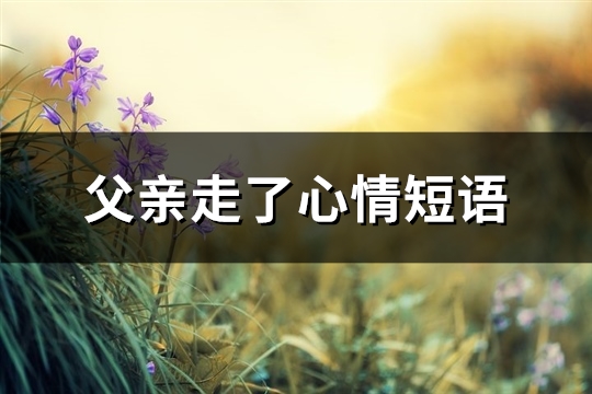 父亲走了心情短语(推荐101句)