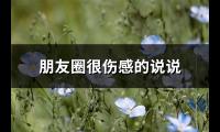 朋友圈很伤感的说说(优选74句)【图】