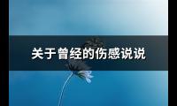 关于曾经的伤感说说(推荐73句)【图】