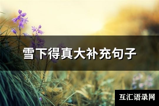 雪下得真大补充句子(推荐100句)