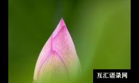 最新的给小学生的祝福语大全-51句