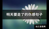 明天要走了的伤感句子(116句)【图】