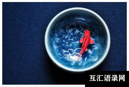 姓刘的女生的名字大全(精选851个)