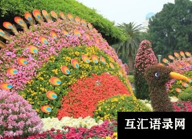 寓意好的视艺公司起名大全