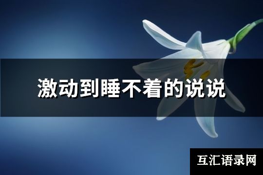 激动到睡不着的说说(共80句)