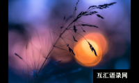 闺蜜新婚祝福语简短上档次-59句