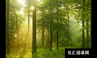 ​女生优雅的微信昵称名字大全