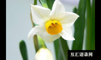 ​起名大全100个时尚洋气的牛宝宝名字大全