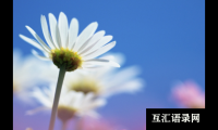 ​好听的有诗意的女宝宝名字大全