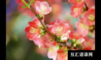 ​简单好记的男女宝宝名字大全