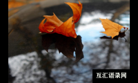 ​大气的男宝宝名字大全，大气的女宝宝名字大全