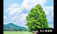 ​婴儿起名吉祥带解释的婴儿起名名字大全
