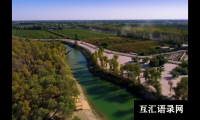 ​属狗宝宝起什么名字最合适