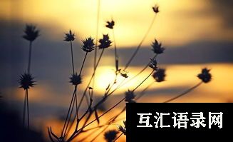 关于信仰的名人名言