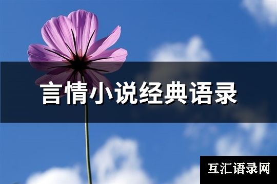 言情小说经典语录(优选114句)