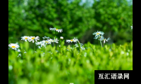 ​向阳而生、青云直上的男宝宝名字大全