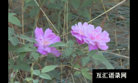 ​起名字的学问你知道多少，赶快来了解吧