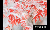 ​新生儿起名人见人爱，寓意不凡的牛宝宝名字大全