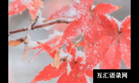 ​姚姓女宝宝取名大全