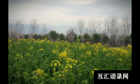 ​宝宝小名怎么起？洋气好听的婴儿小名大全