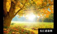 ​风华如月，深蕴博远的男宝宝名字大全
