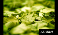 ​文质彬彬大气吉祥的宝宝起名常用字大全
