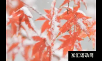 ​好听带字义解释的宝宝名字