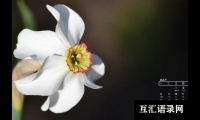 ​吉祥、吉利的宝宝起名常用字推荐