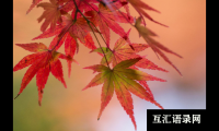 ​端方若玉，如月当空的男宝宝名字大全