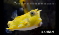 ​用“一”字为宝宝起个好名字，寓意宝宝一世无忧，前程似锦