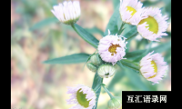 ​甜美可爱的女宝宝小名推荐