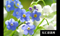 ​浩海之气，少年有为的男宝宝名字大全