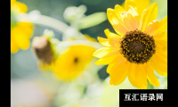 ​福运天成，万事清明的男宝宝名字大全