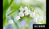 ​2022年最新诗意又好听的女宝宝名字大全（带解释）