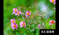 ​好听适合给男孩起名常用字大全女孩起名常用字大全