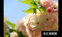 ​女宝宝起名，超有气场的名字，这样起名不重名