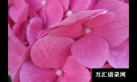 ​中秋将至，起个带月的好名字，助宝宝一生圆圆满满