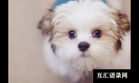 ​响亮寓意好