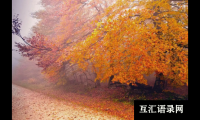 ​牛年起名带“艹”字头，寓意宝宝丰衣足食，一世无忧