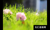 ​作为姓氏的颜色有哪些你知道吗？