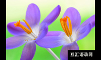 ​公司起名出自诗词中的公司名字赏析