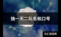 独一无二队名和口号(118句)