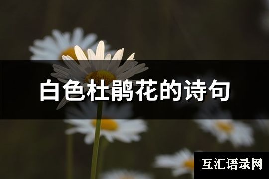 白色杜鹃花的诗句(优选50句)